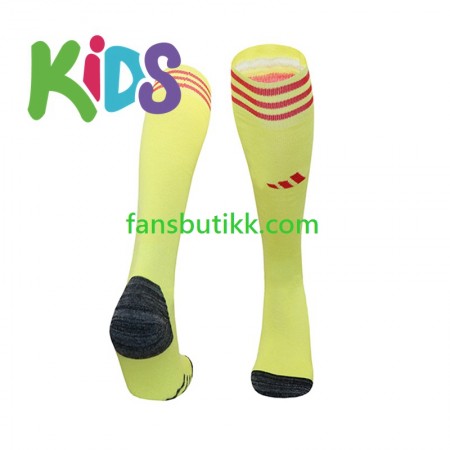 Bayern München Keeper Barn Hjemme Strømpe 2024-2025